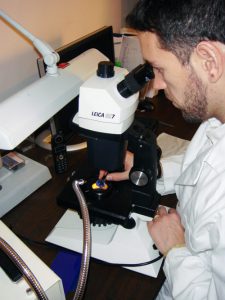 Patrick studies a natural blue sapphire under microscope.