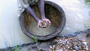 natural untreated sapphire mining