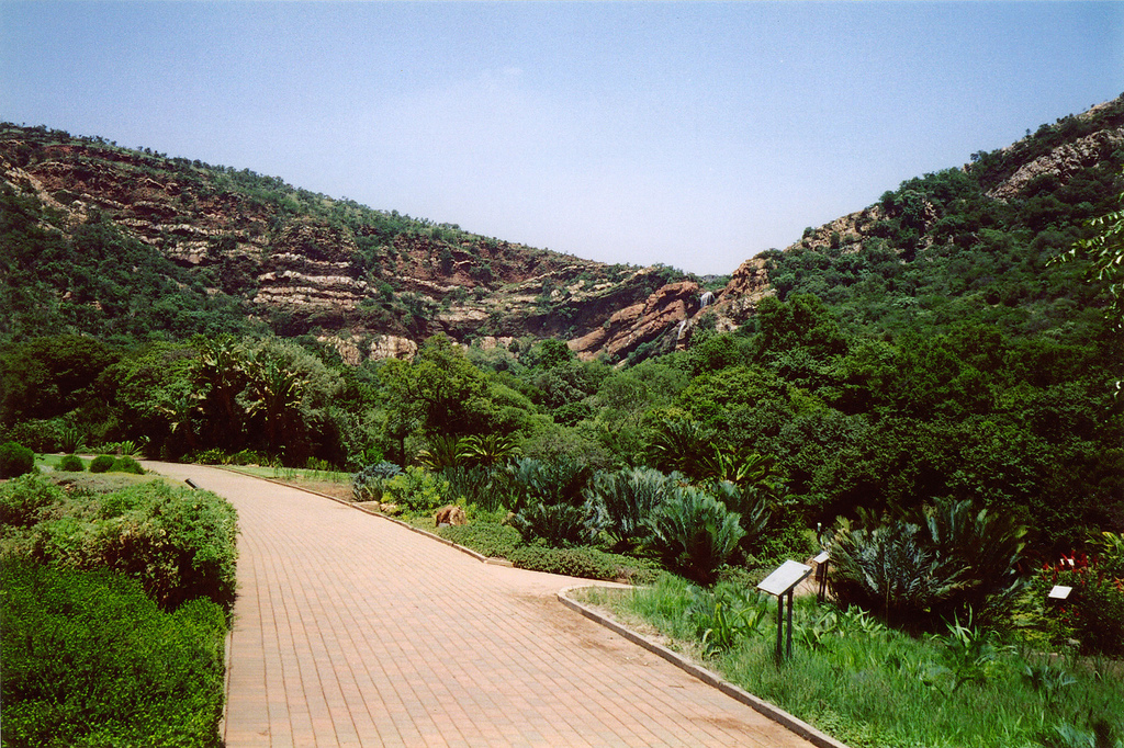 Witwatersrand Gold Rush